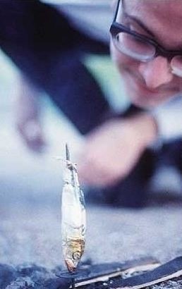 포스트의 이미지