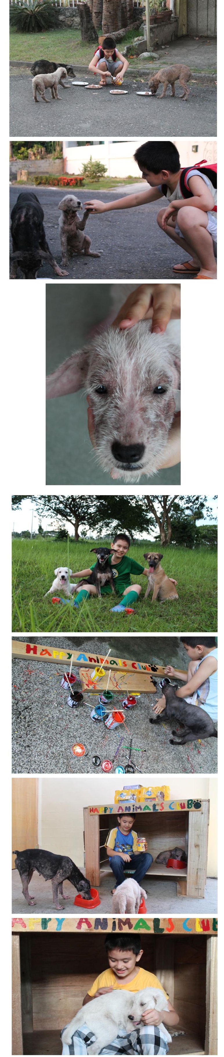 포스트의 이미지