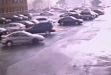 포스트의 이미지