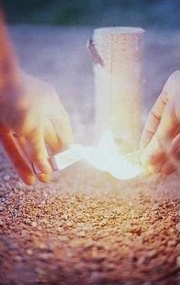 포스트의 이미지