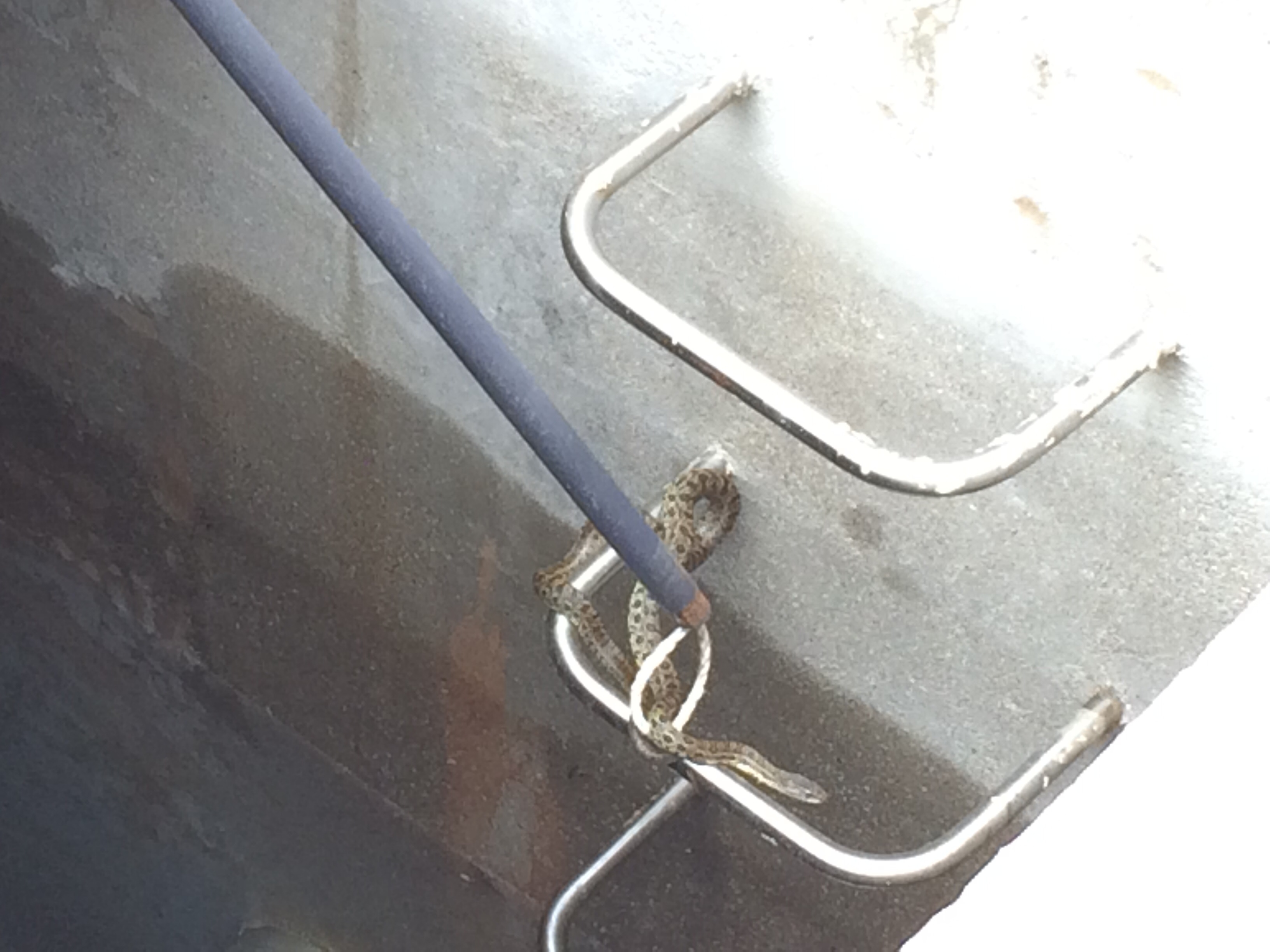 포스트의 이미지