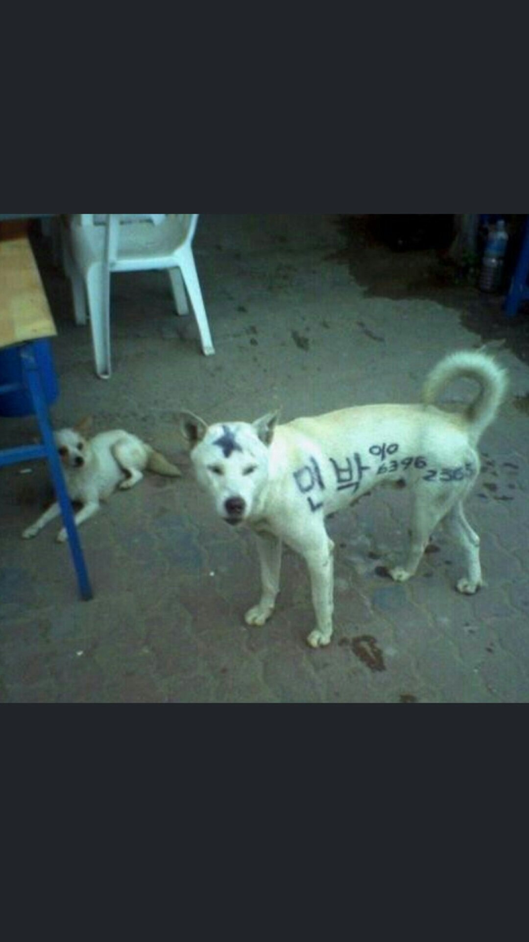 카스친구가 올렸는데 보고 빵터짐