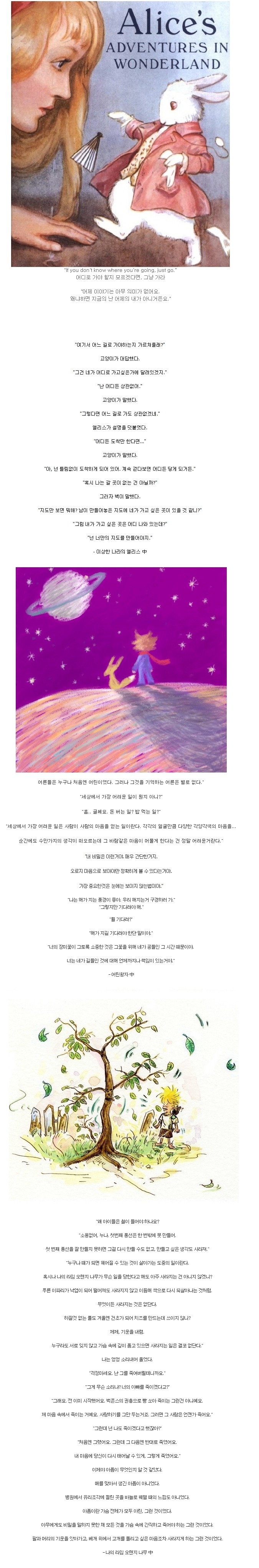 포스트의 이미지