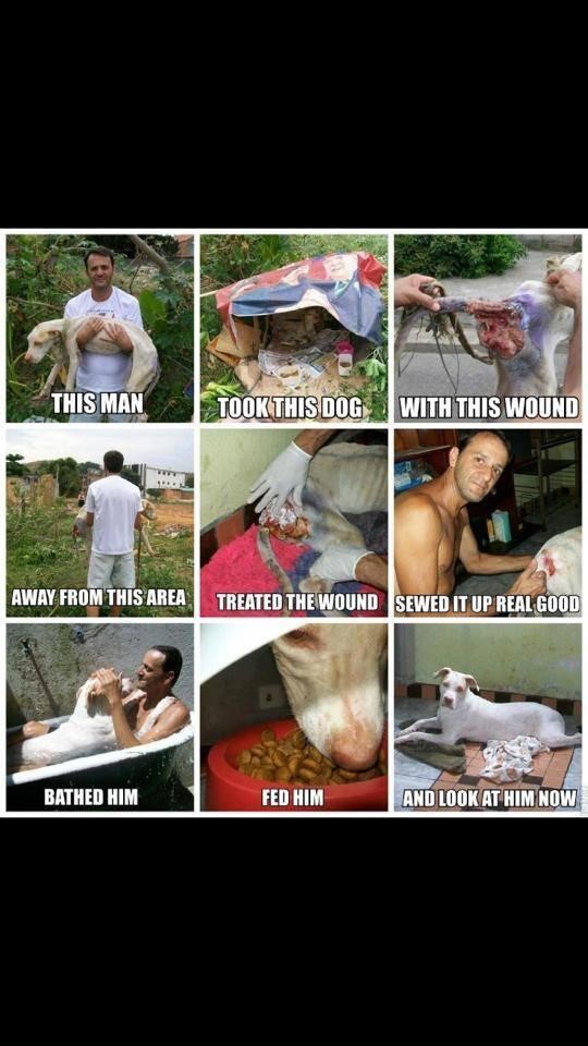 포스트의 이미지