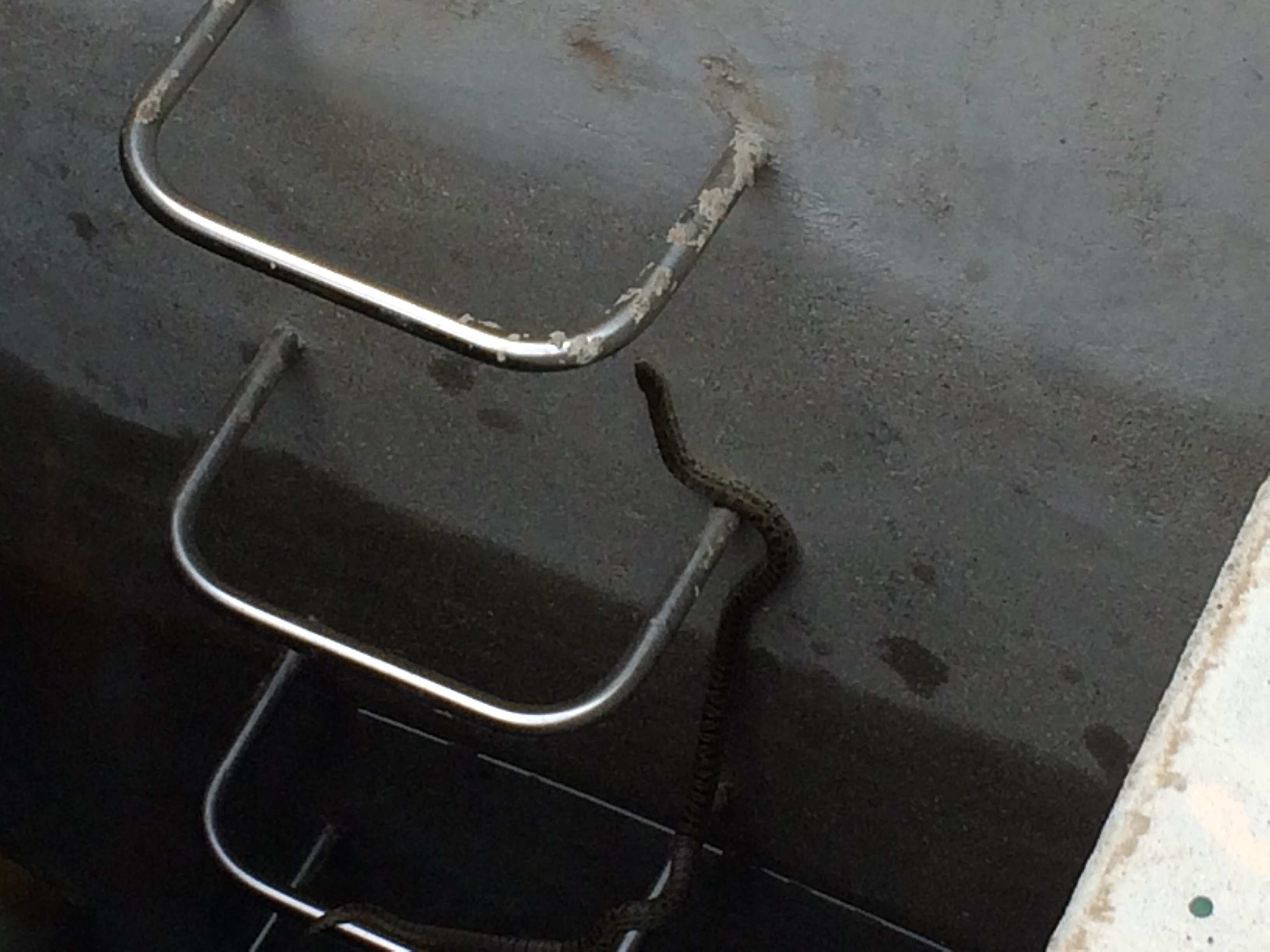 포스트의 이미지