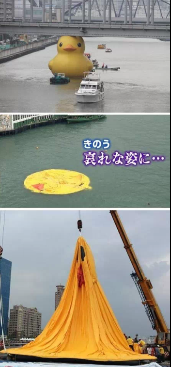 포스트의 이미지