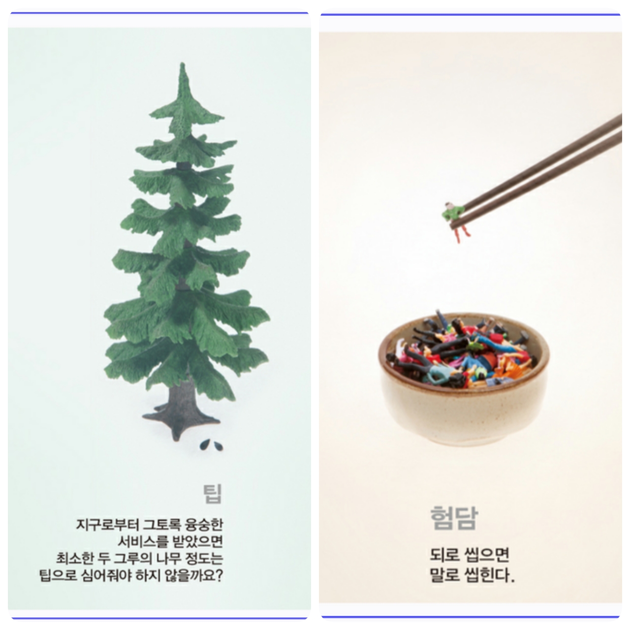 포스트의 이미지