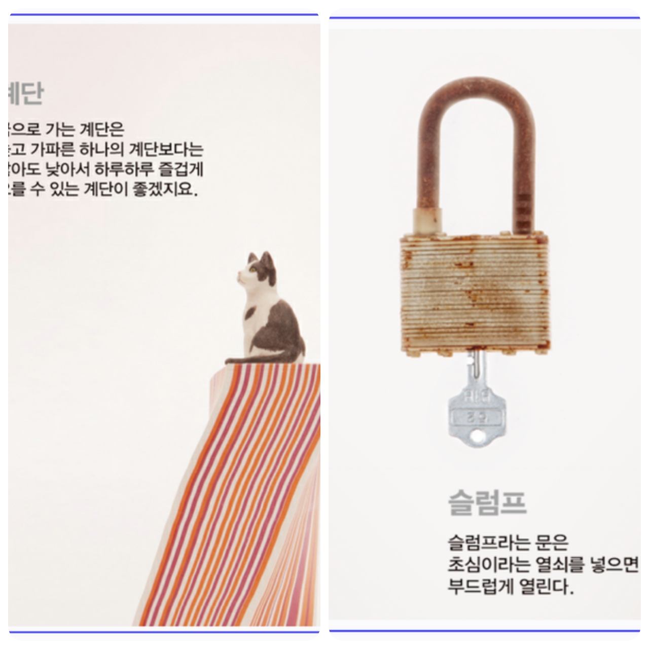 포스트의 이미지