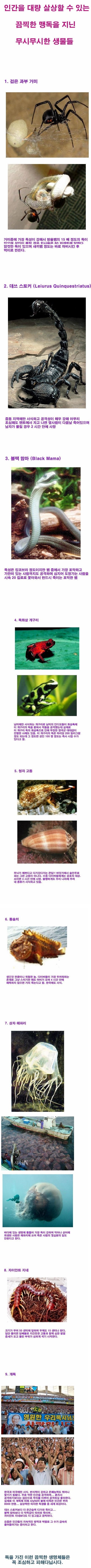 포스트의 이미지