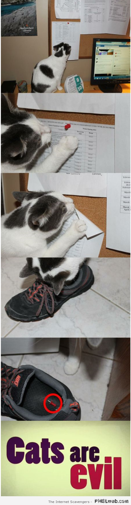 포스트의 이미지