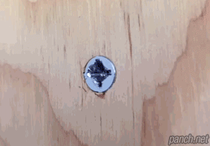 포스트의 이미지