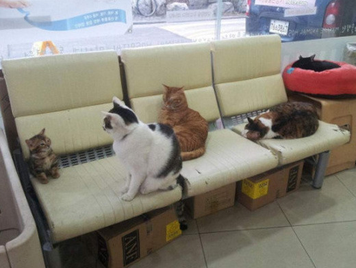 포스트의 이미지