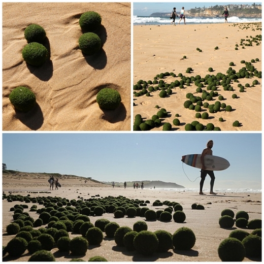 포스트의 이미지