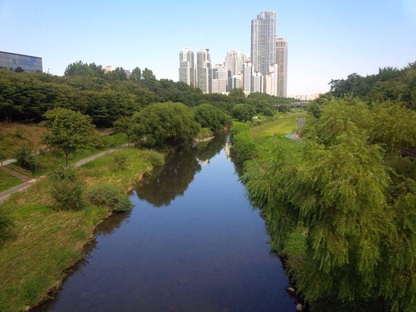 포스트의 이미지