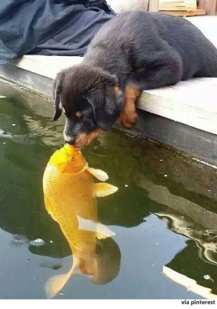 포스트의 이미지