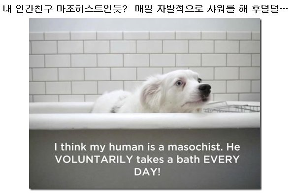 포스트의 이미지