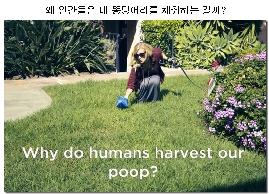 포스트의 이미지