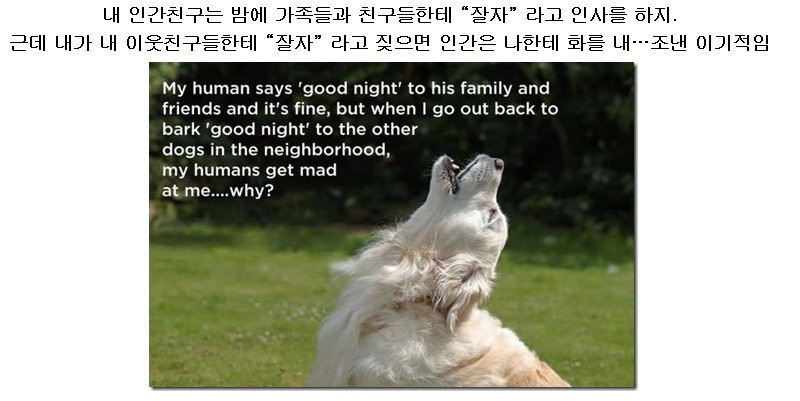 포스트의 이미지