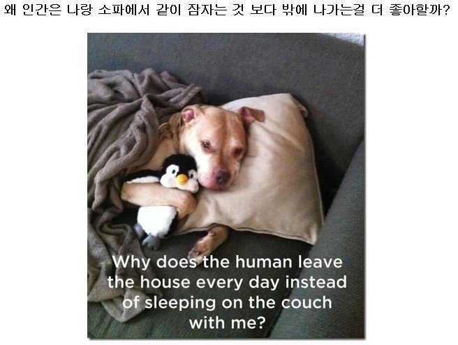 포스트의 이미지