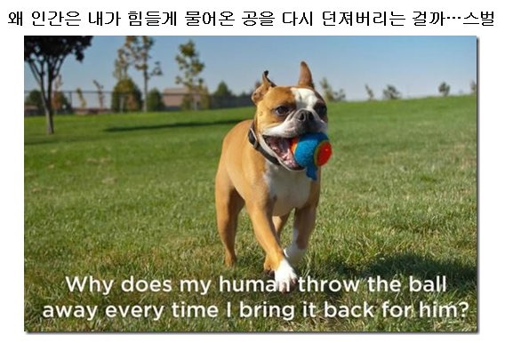 포스트의 이미지