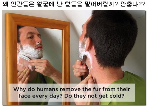 포스트의 이미지