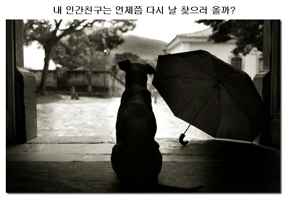 포스트의 이미지