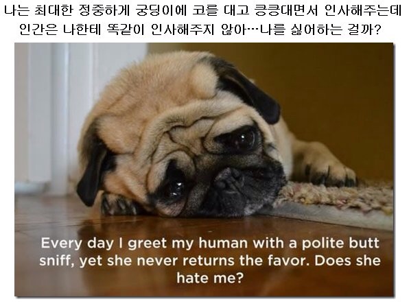 포스트의 이미지