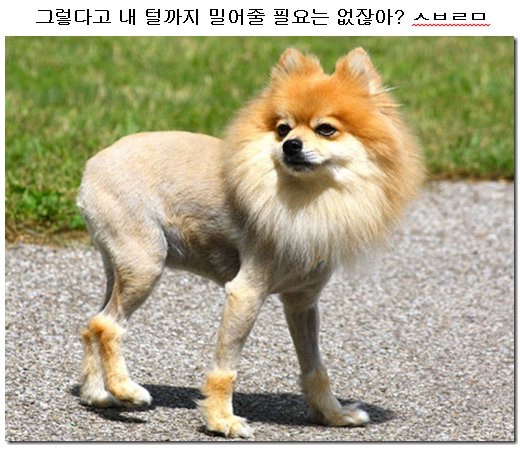 포스트의 이미지