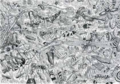 포스트의 이미지