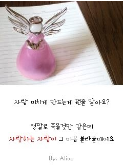 포스트의 이미지
