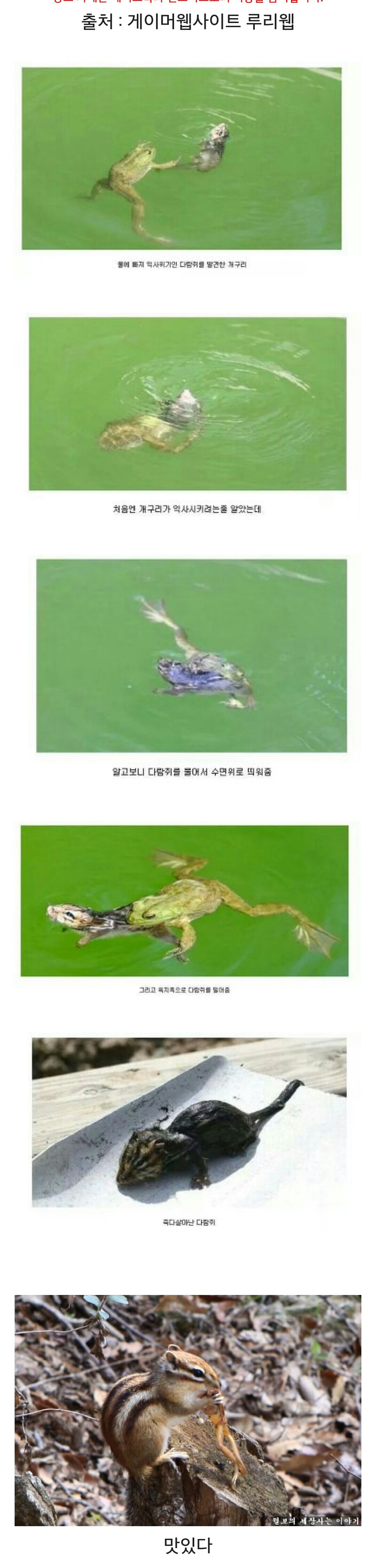 포스트의 이미지