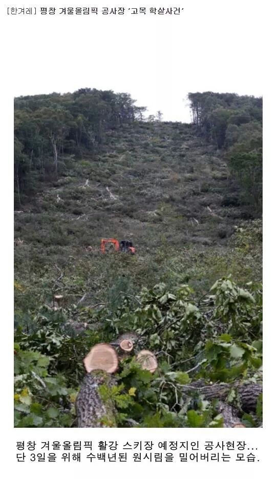 포스트의 이미지