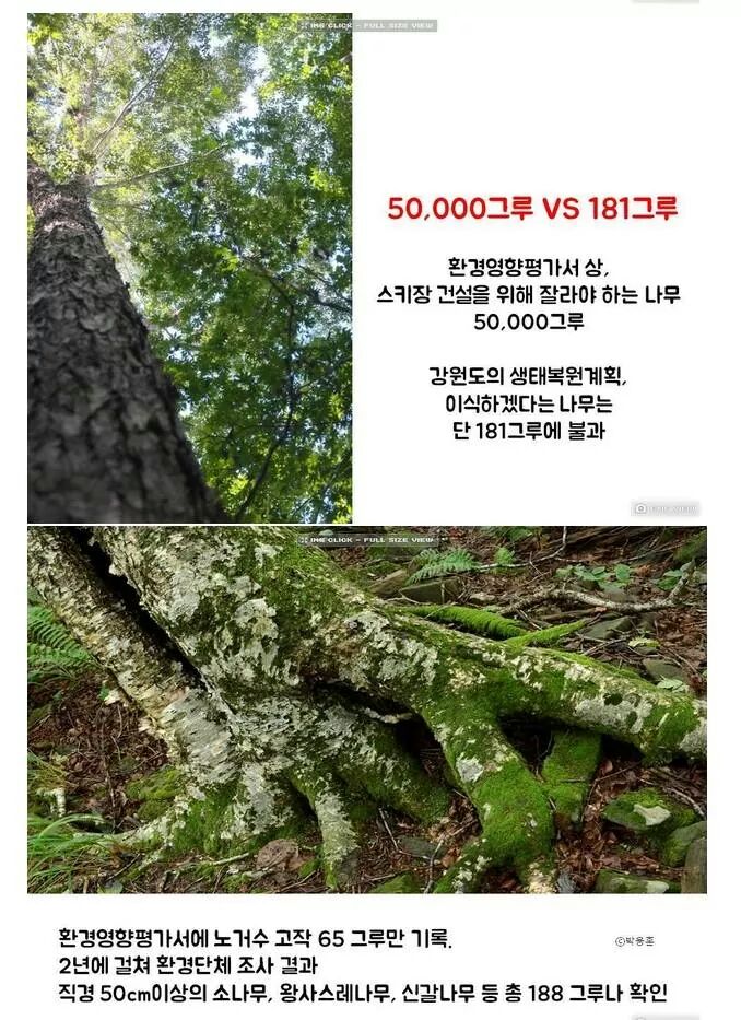 포스트의 이미지