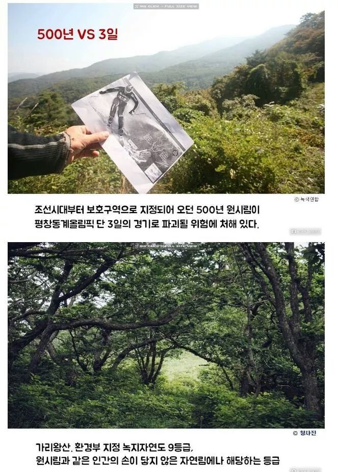 포스트의 이미지