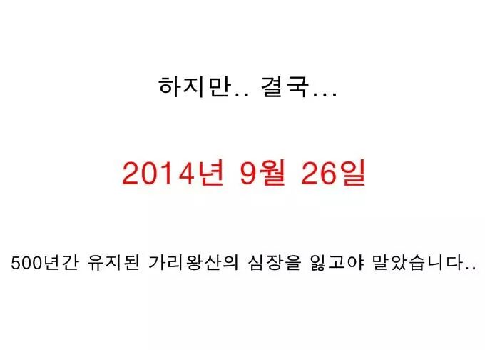 포스트의 이미지