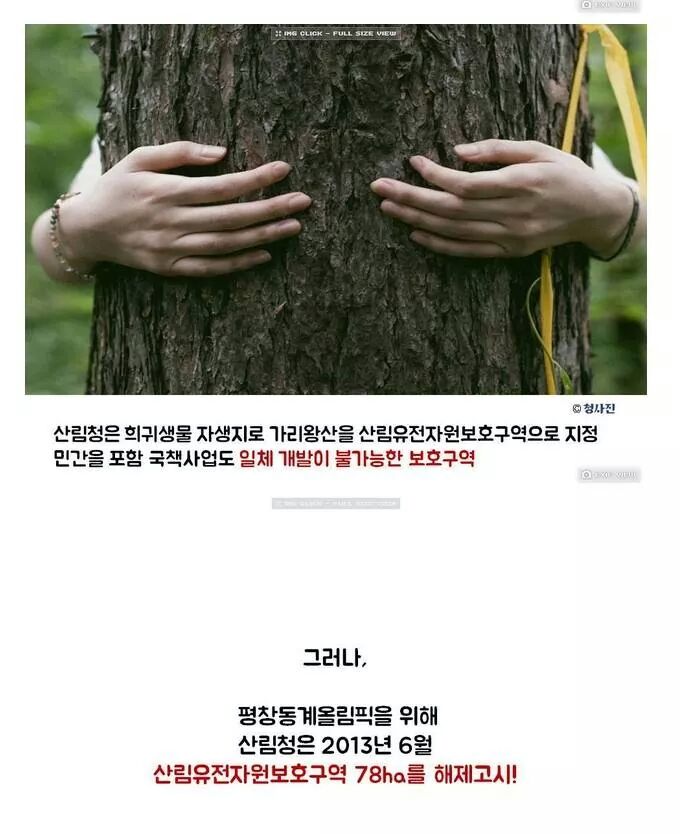 포스트의 이미지