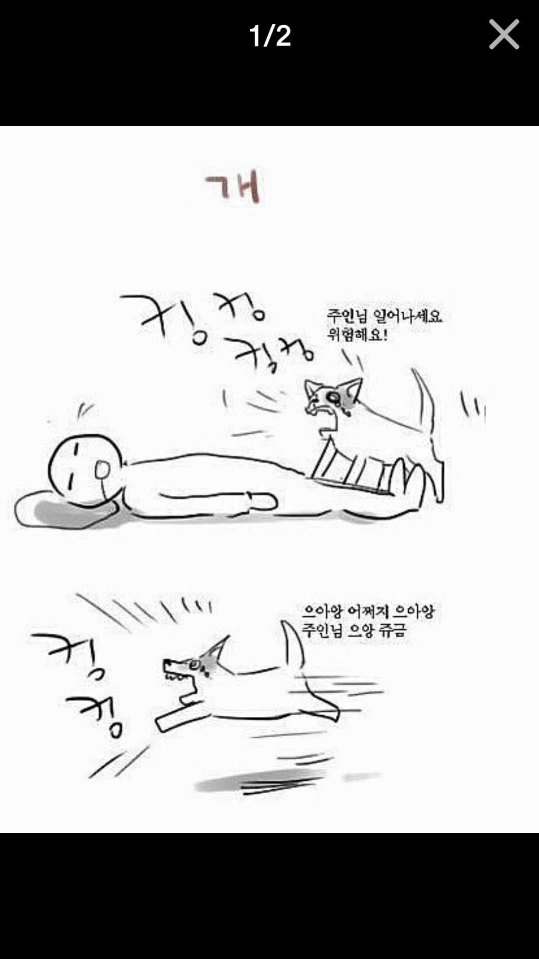 포스트의 이미지