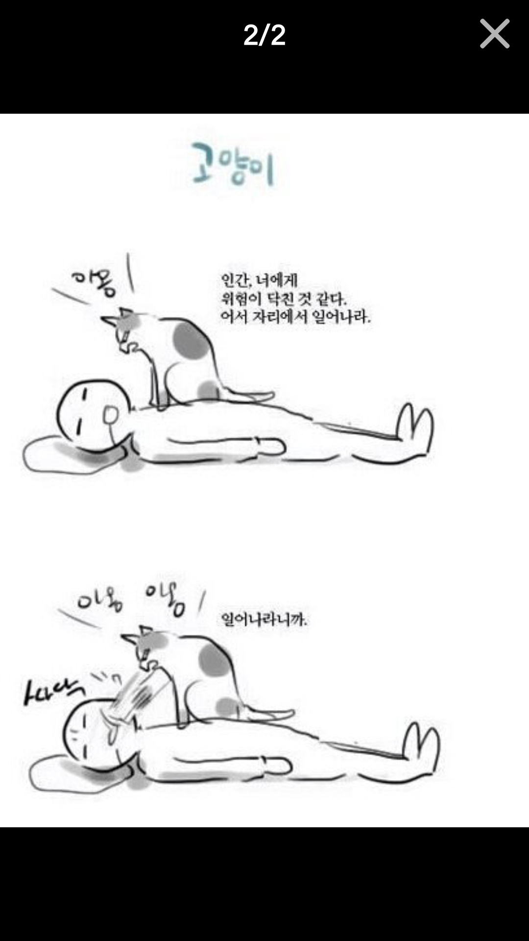 포스트의 이미지