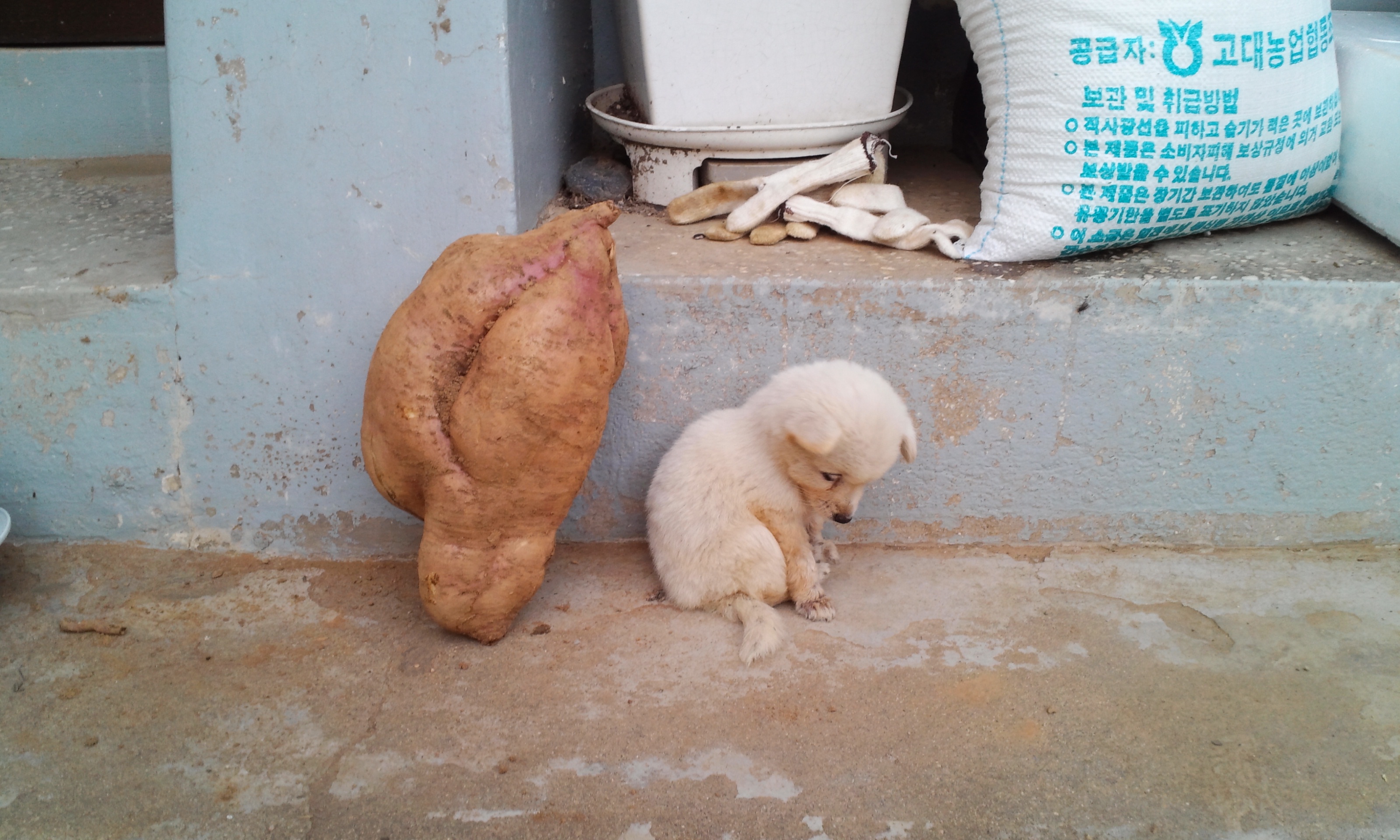 포스트의 이미지