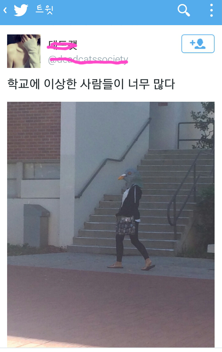 포스트의 이미지