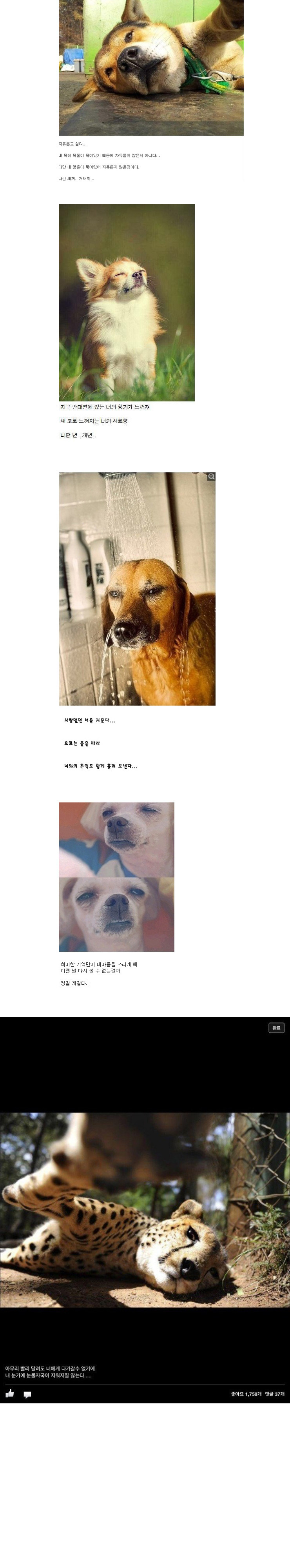 포스트의 이미지