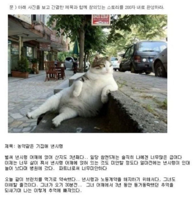 포스트의 이미지