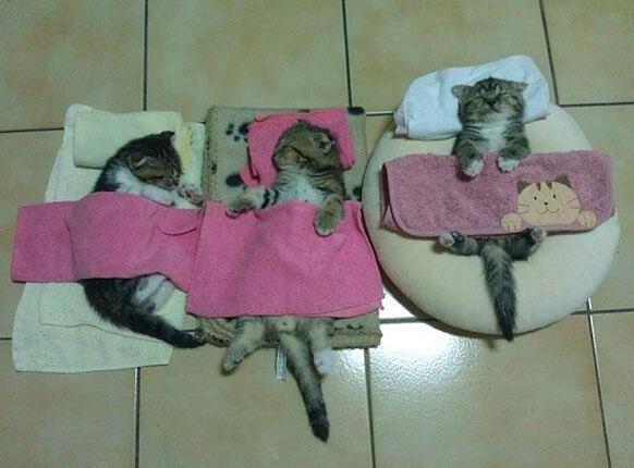 포스트의 이미지