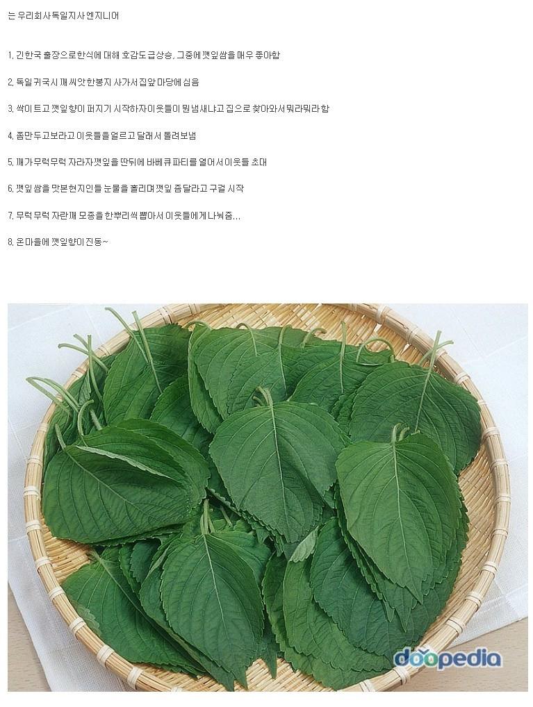 포스트의 이미지