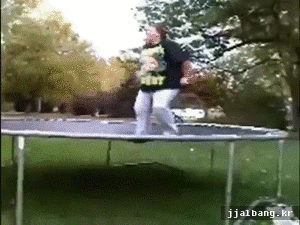 포스트의 이미지