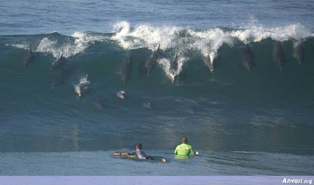 포스트의 이미지