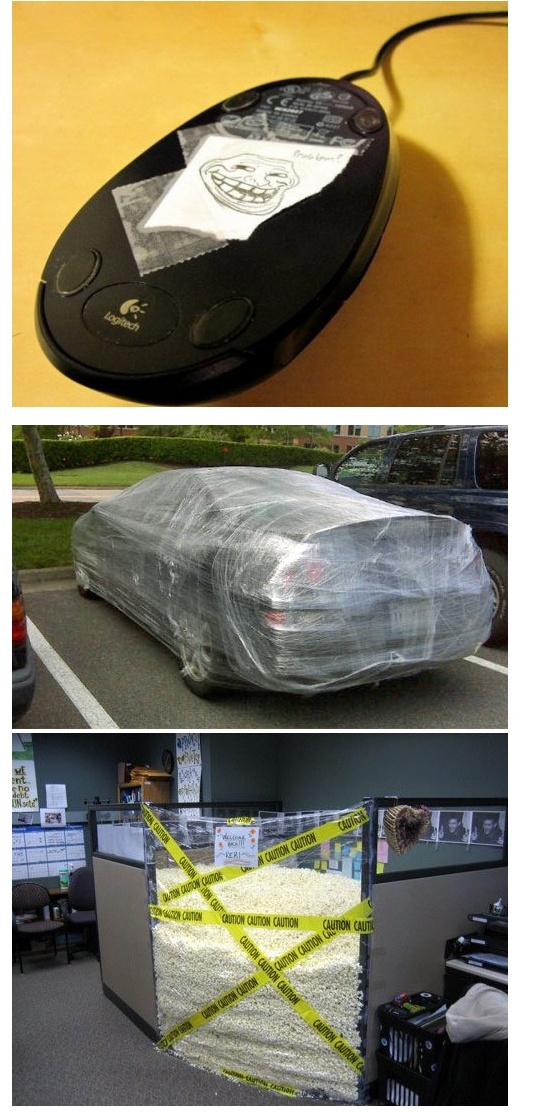 포스트의 이미지