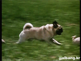 포스트의 이미지