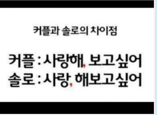 커플고 솔로의 차이점