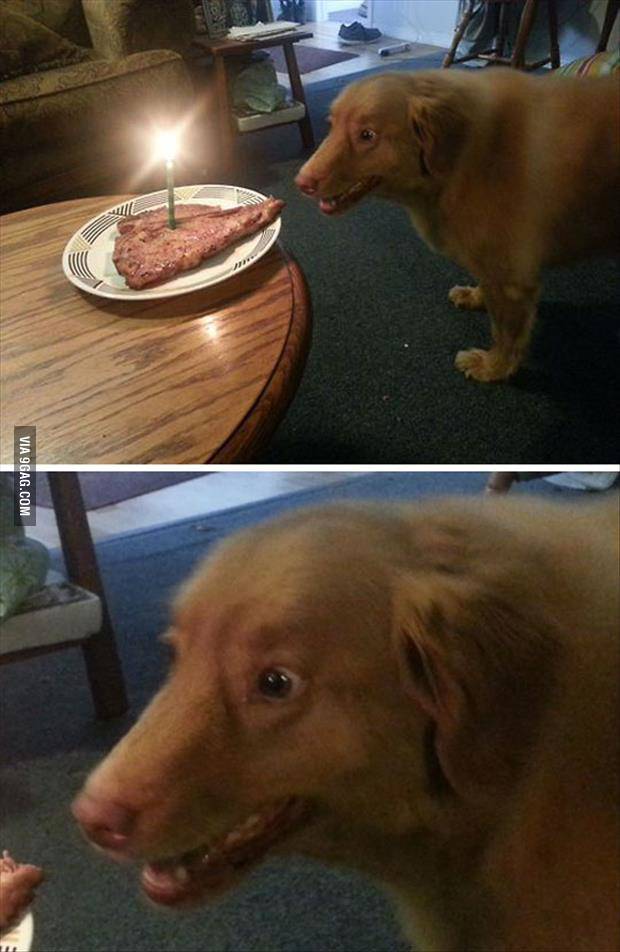 포스트의 이미지